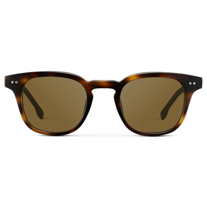 Brown Tortoise / Amber