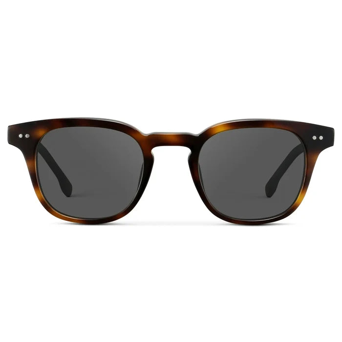 Brown Tortoise / Grey