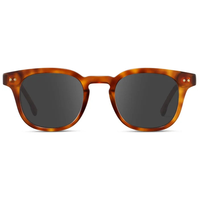 Saddlewood Tortoise / Grey