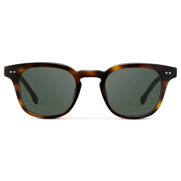 Brown Tortoise / G15