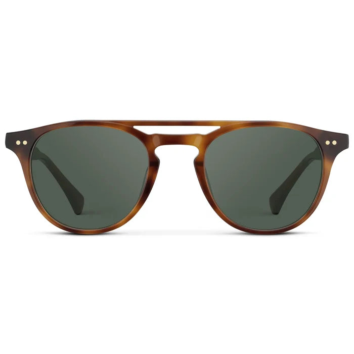 Saddlewood Tortoise / G15