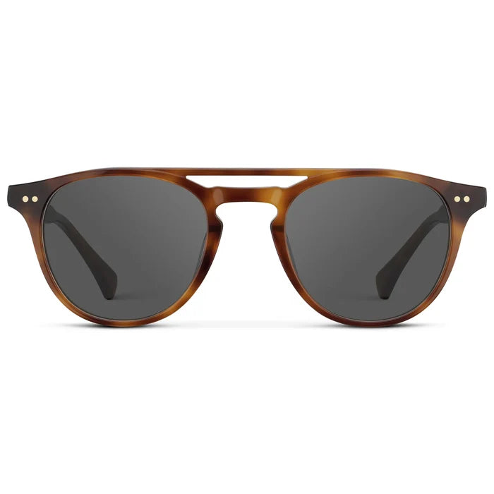 Saddlewood Tortoise / Grey