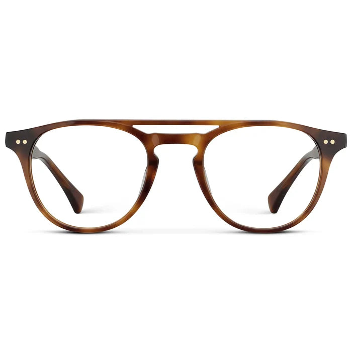 Saddlewood Tortoise