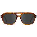 Saddlewood Tortoise / Amber