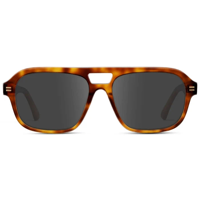 Saddlewood Tortoise / Amber