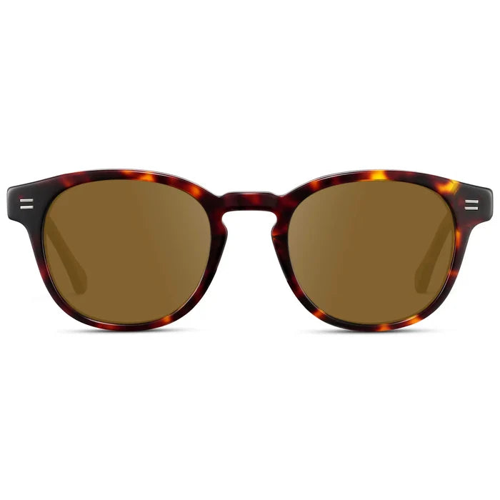 Amber Tortoise / Amber