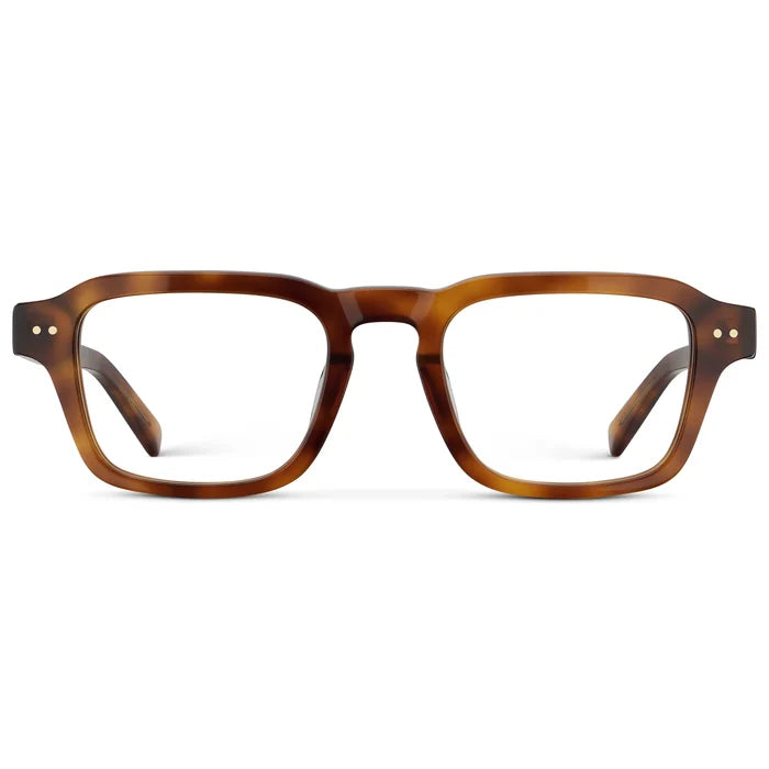 Saddlewood Tortoise