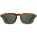 Saddlewood Tortoise / G15