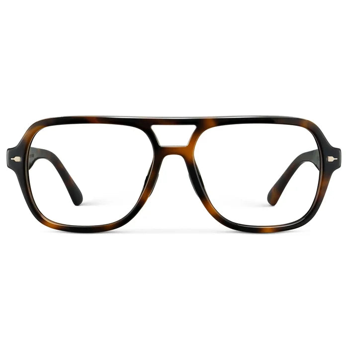Brown Tortoise