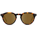 Brown Tortoise / Amber