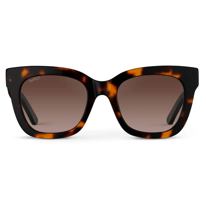 Tortoise / Brown Lens