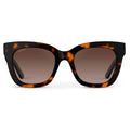 Tortoise / Brown Lens