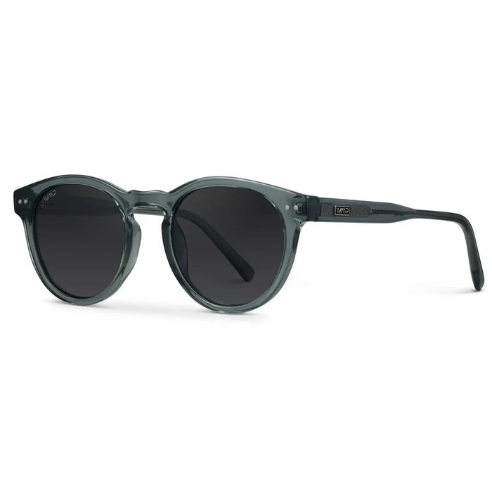 Brown Case || Round frame sunglasses with transparent dark gray frames and dark lenses on a white background