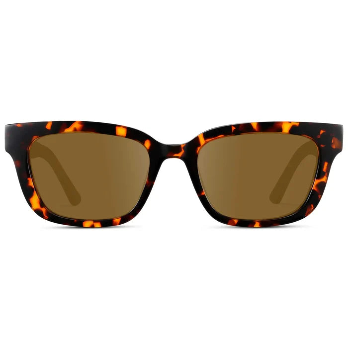 Ember Tortoise / Amber