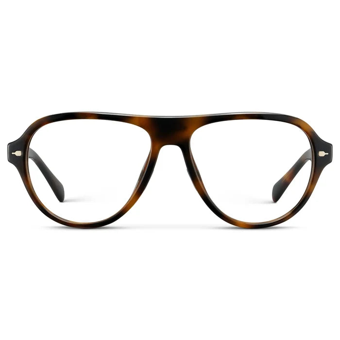 Brown Tortoise